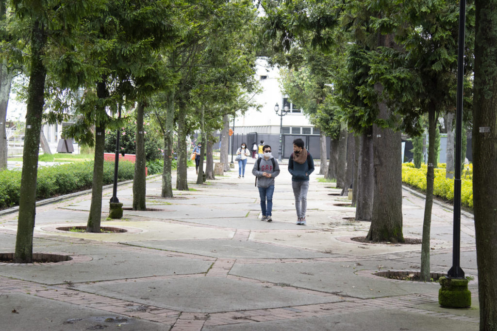 Deserción universitaria en Iberoamérica alcanza el 33%