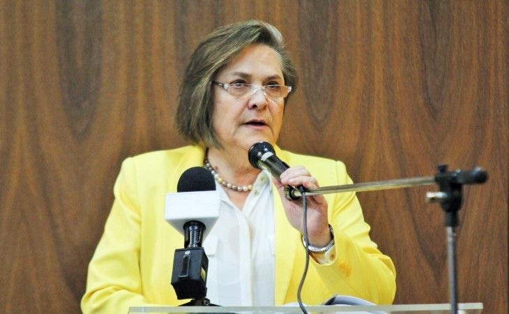 Aspiraré a la presidencia del Senado: Clara López