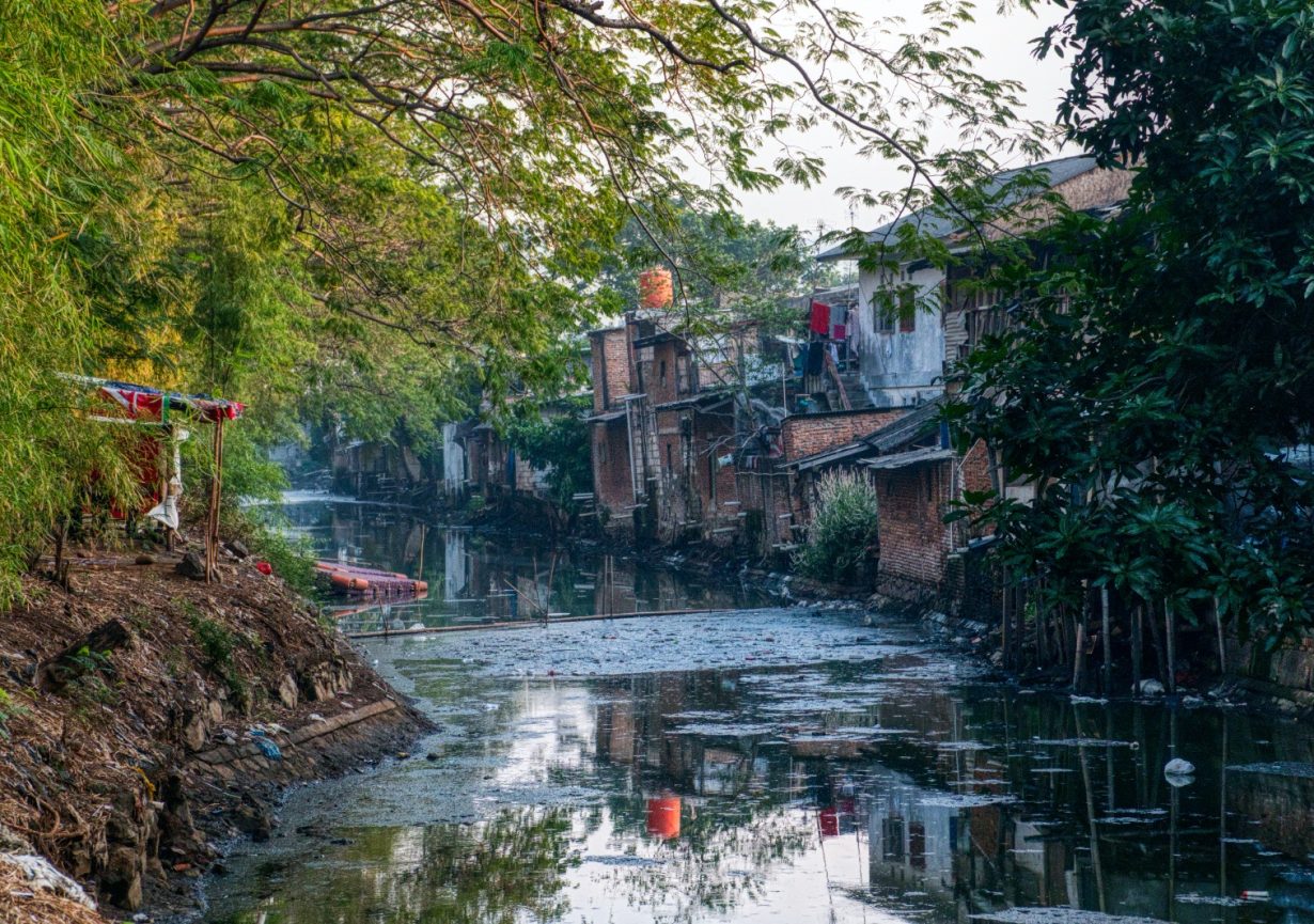 Alerta epidemiológica por dengue en Colombia