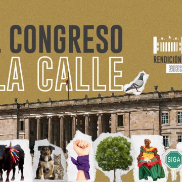 Cámara de Representantes rendirá cuentas a la ciudadanía