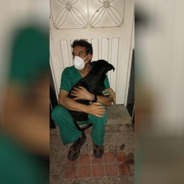 vargas ¿La adicción es una enfermedad?