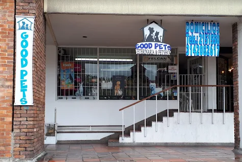 Captura de pantalla 2025-11-23 132825 La importancia de la socialización perruna