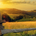 ¿Cómo funcionará el beneficio aprobado en Senado a 6,6 millones de colombianos de municipios PDET?