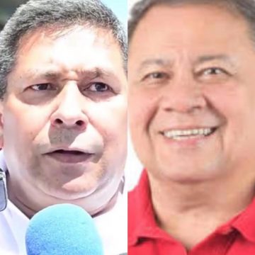 LA COTORRA POLÍTICA